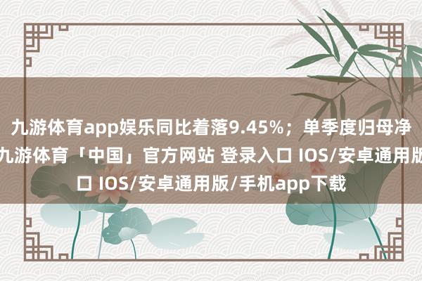 九游体育app娱乐同比着落9.45%；单季度归母净利润-2.6亿元-九游体育「中国」官方网站 登录入口 IOS/安卓通用版/手机app下载