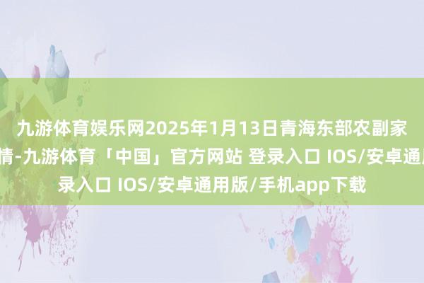 九游体育娱乐网2025年1月13日青海东部农副家具概括市集价钱行情-九游体育「中国」官方网站 登录入口 IOS/安卓通用版/手机app下载