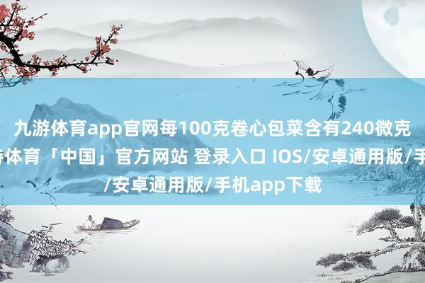 九游体育app官网每100克卷心包菜含有240微克的叶酸-九游体育「中国」官方网站 登录入口 IOS/安卓通用版/手机app下载