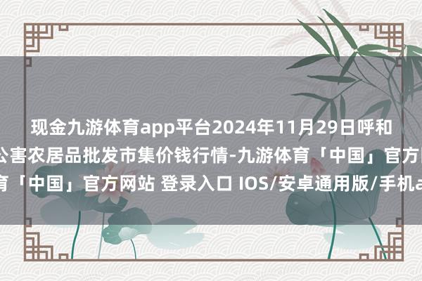 现金九游体育app平台2024年11月29日呼和浩特市好意思通首府无公害农居品批发市集价钱行情-九游体育「中国」官方网站 登录入口 IOS/安卓通用版/手机app下载
