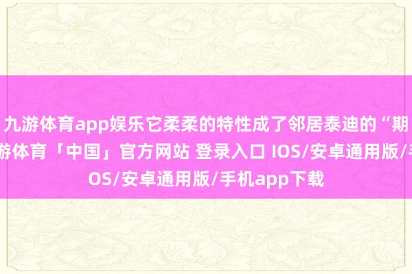 九游体育app娱乐它柔柔的特性成了邻居泰迪的“期侮”对象-九游体育「中国」官方网站 登录入口 IOS/安卓通用版/手机app下载