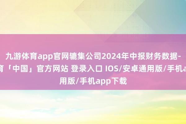 九游体育app官网辘集公司2024年中报财务数据-九游体育「中国」官方网站 登录入口 IOS/安卓通用版/手机app下载