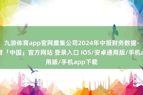 九游体育app官网麇集公司2024年中报财务数据-九游体育「中国」官方网站 登录入口 IOS/安卓通用版/手机app下载
